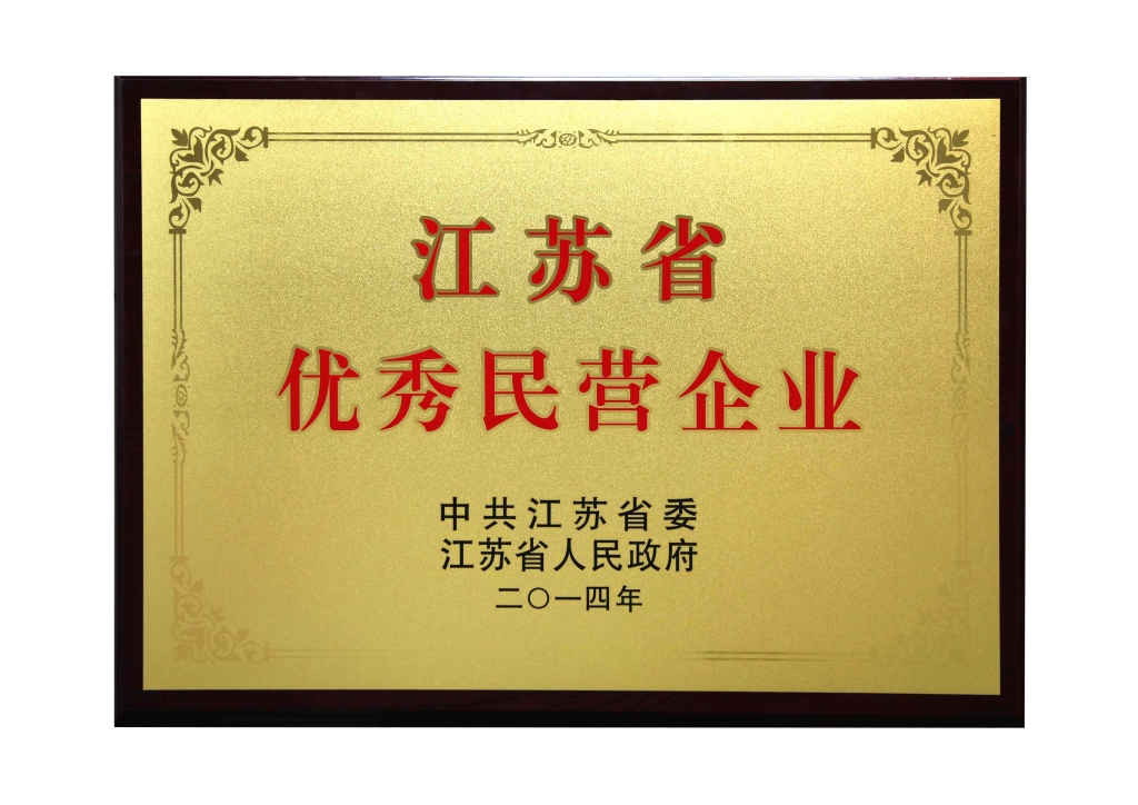 江蘇省優(yōu)秀民營(yíng)企業(yè)